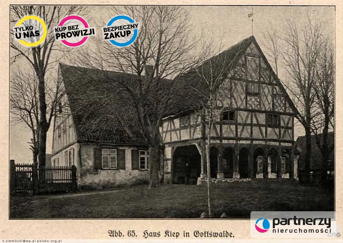 PAN565241 - zdjęcie nr 0