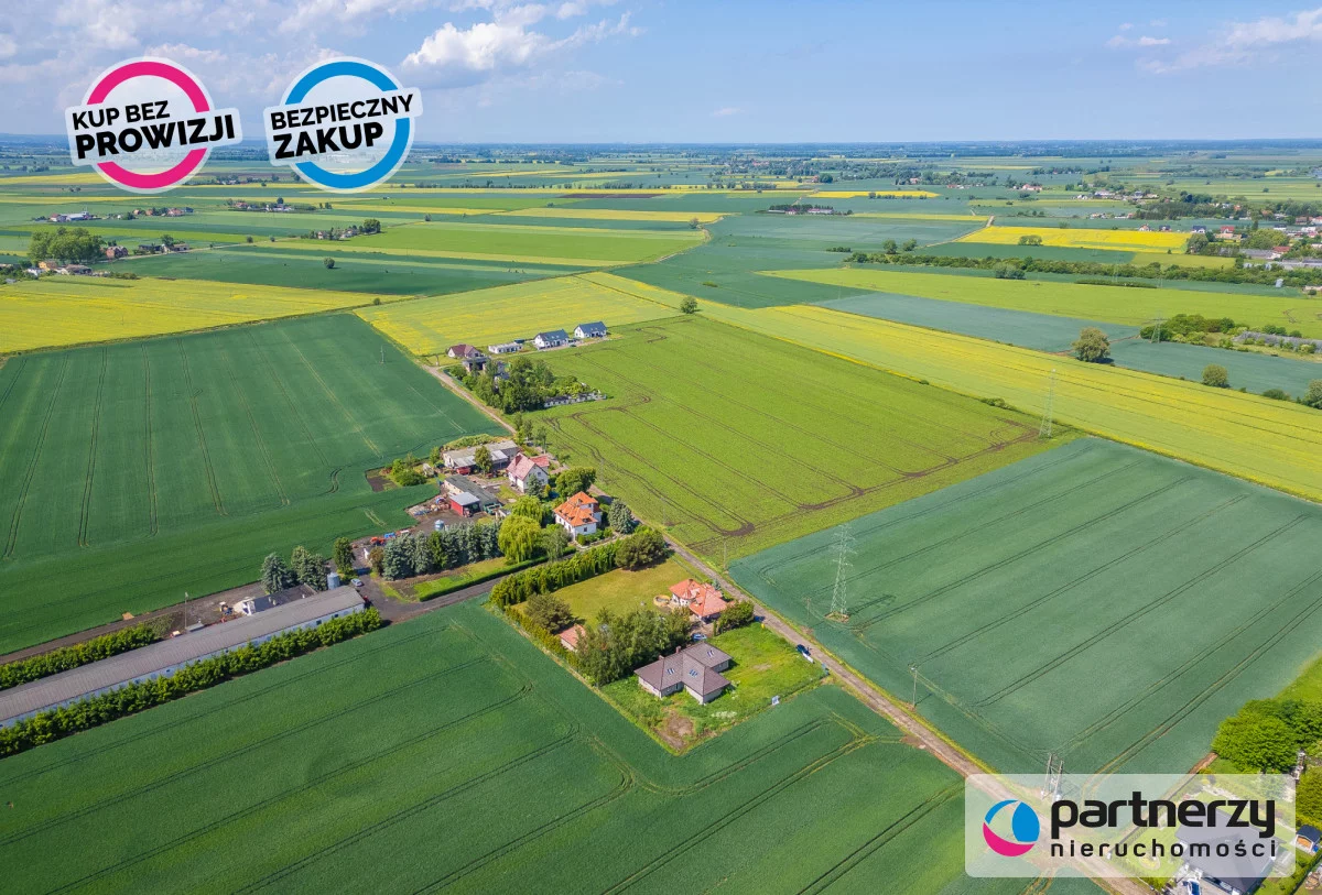 PAN176131 - zdjęcie nr 0