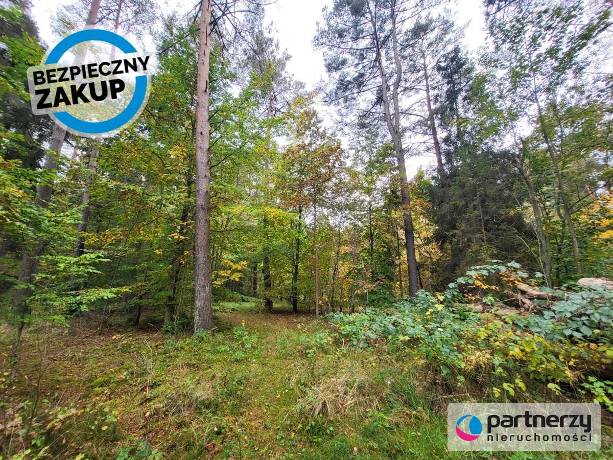 Działka 800,00 m², oferta nr , PAN277384, Chwaszczyno, Adama Mickiewicza