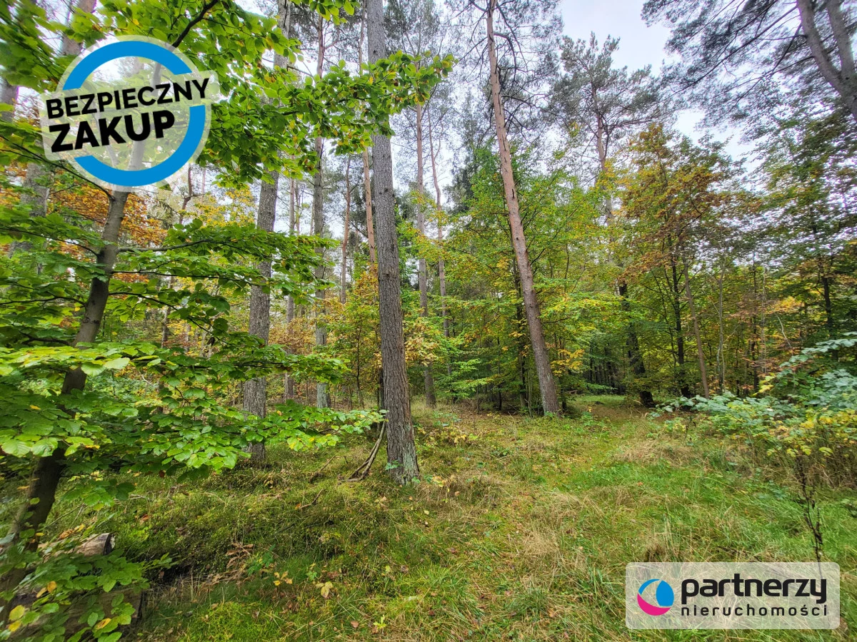 Działka 800,00 m², oferta nr , PAN277384, Chwaszczyno, Adama Mickiewicza