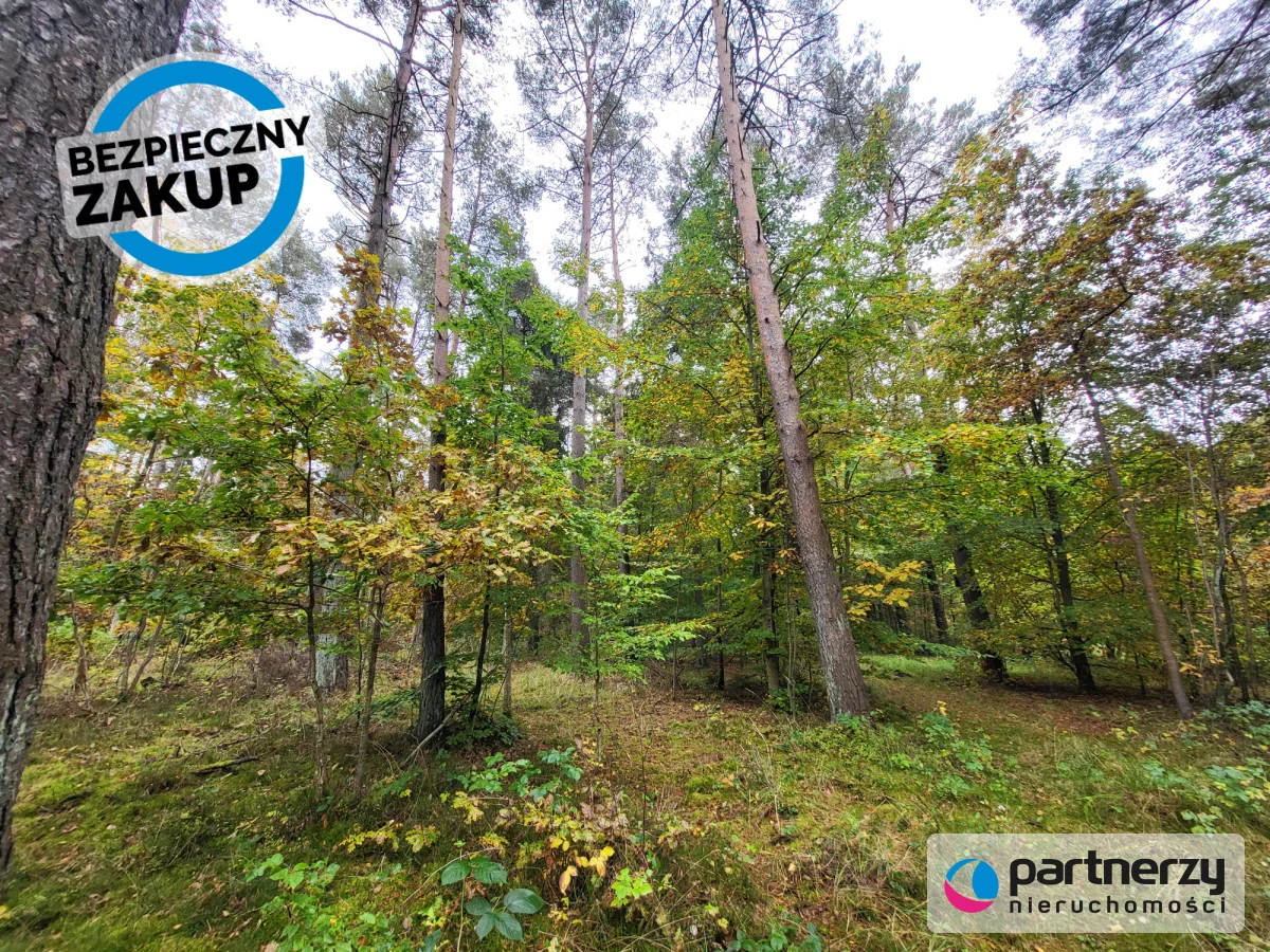 Działka 800,00 m², oferta nr , PAN277384, Chwaszczyno, Adama Mickiewicza