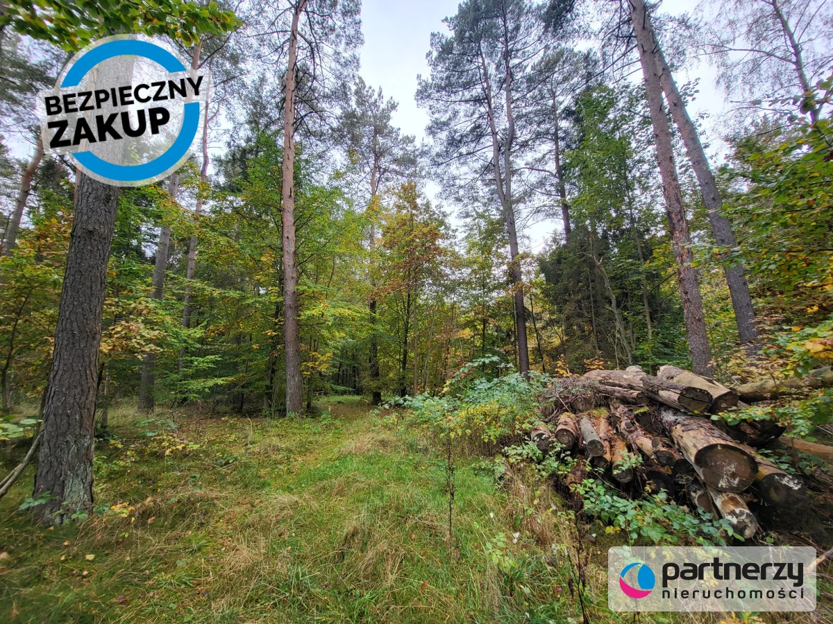 Działka 800,00 m², oferta nr , PAN277384, Chwaszczyno, Adama Mickiewicza