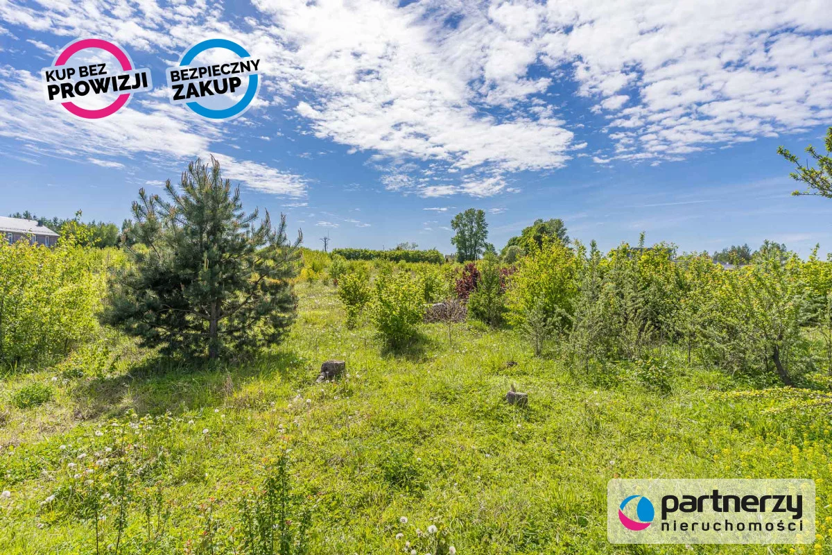 PAN465131 - zdjęcie nr 3