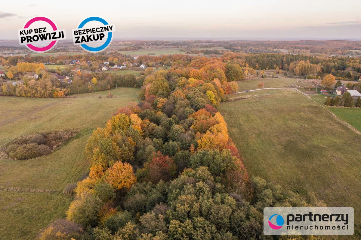 Działka 2 700,00 m², oferta nr , PAN114949, Buszkowy