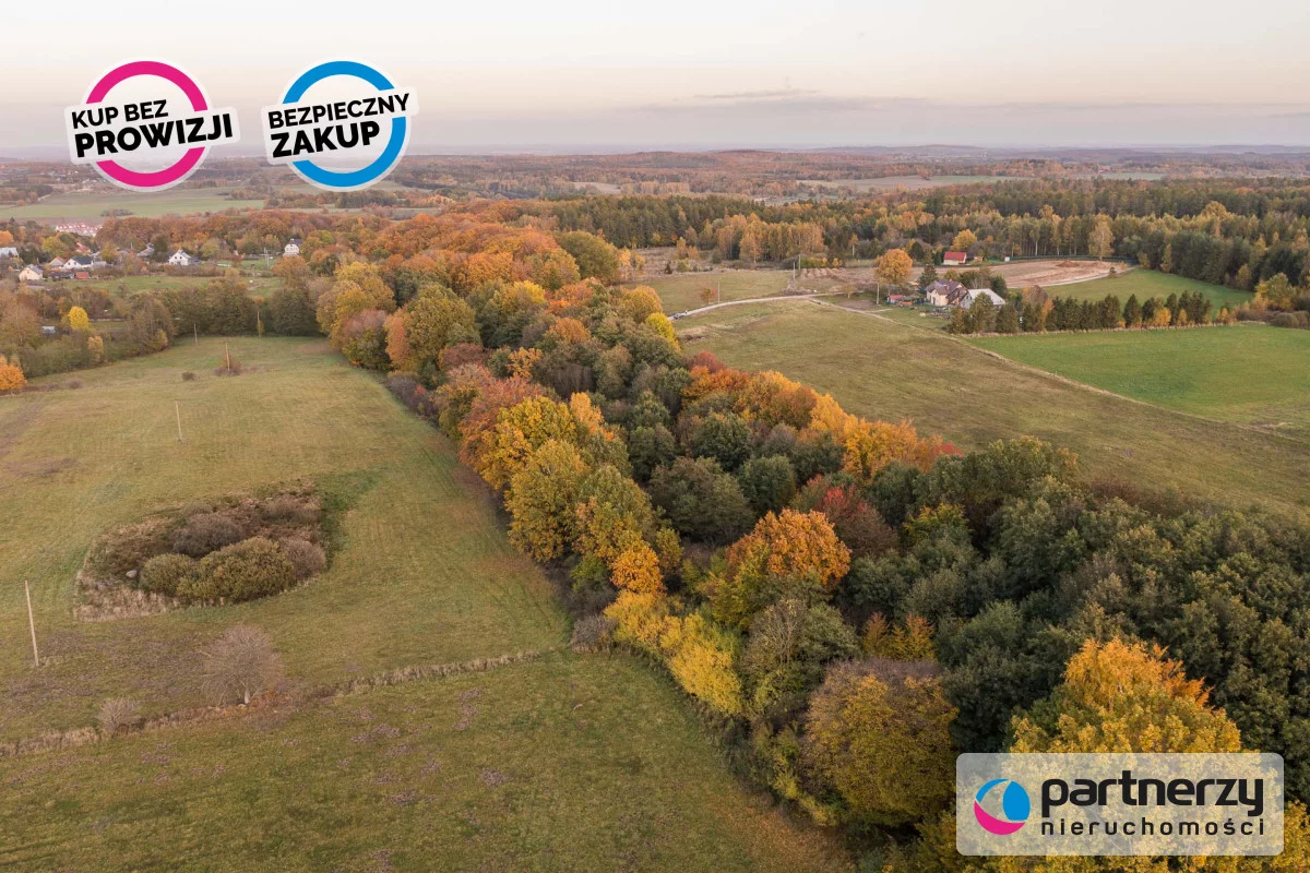 Działka 2 700,00 m², oferta nr , PAN114949, Buszkowy