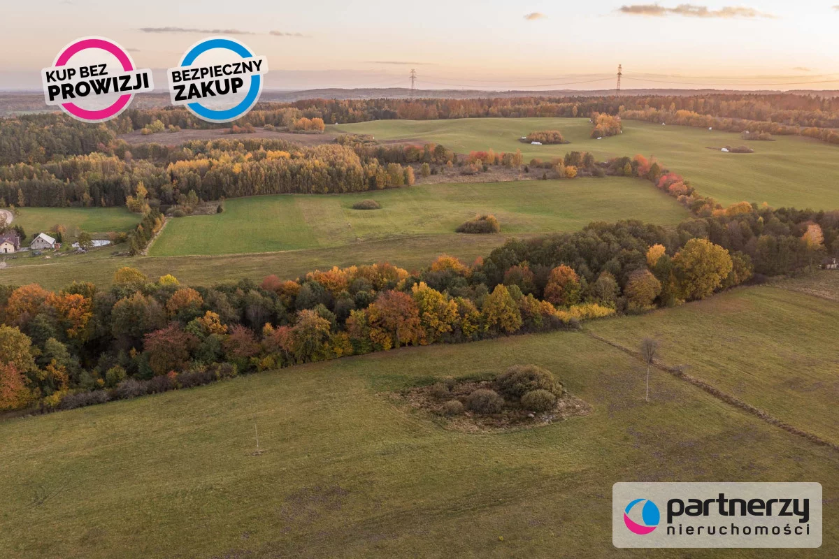 Działka 2 700,00 m², oferta nr , PAN114949, Buszkowy