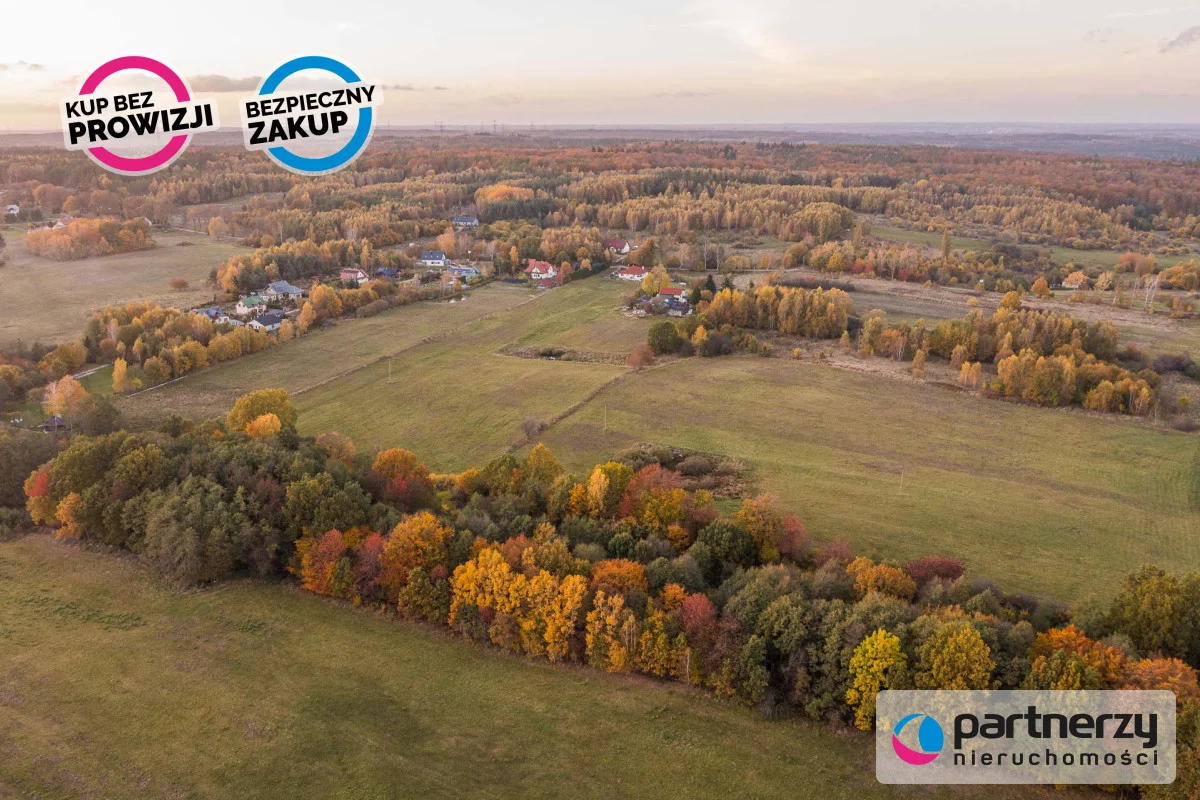 Działka 2 700,00 m², oferta nr , PAN114949, Buszkowy