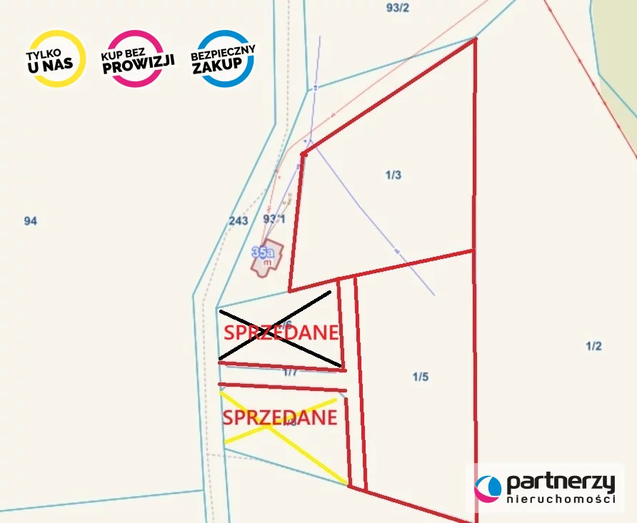 PAN518380 - zdjęcie nr 1