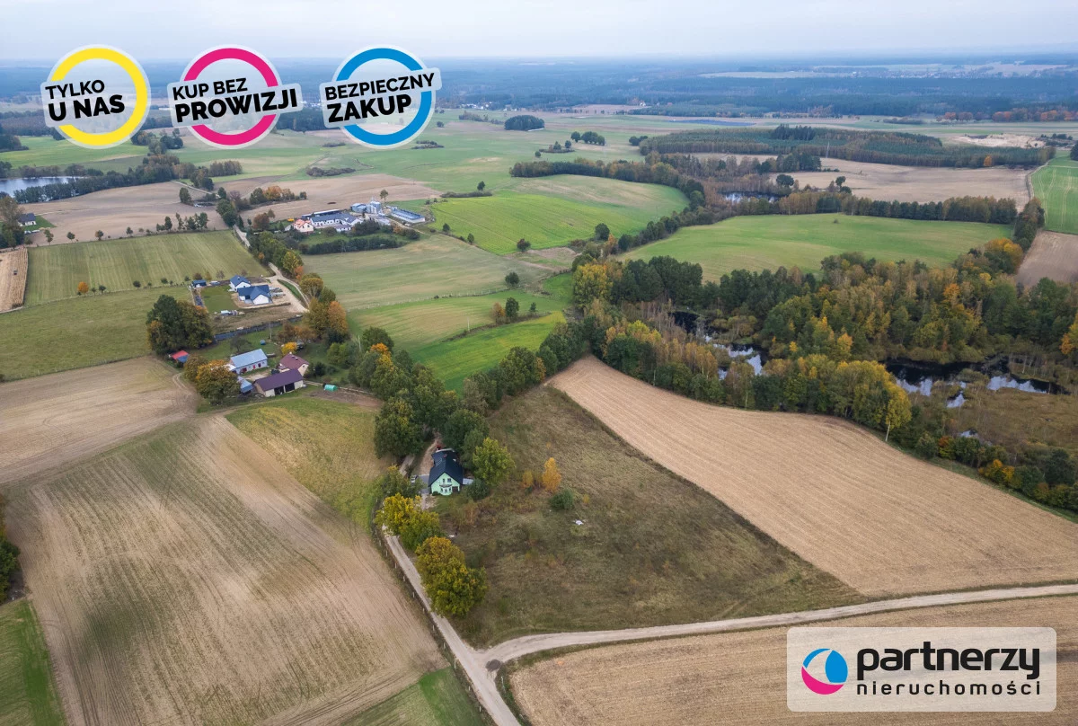 PAN518380 - zdjęcie nr 3