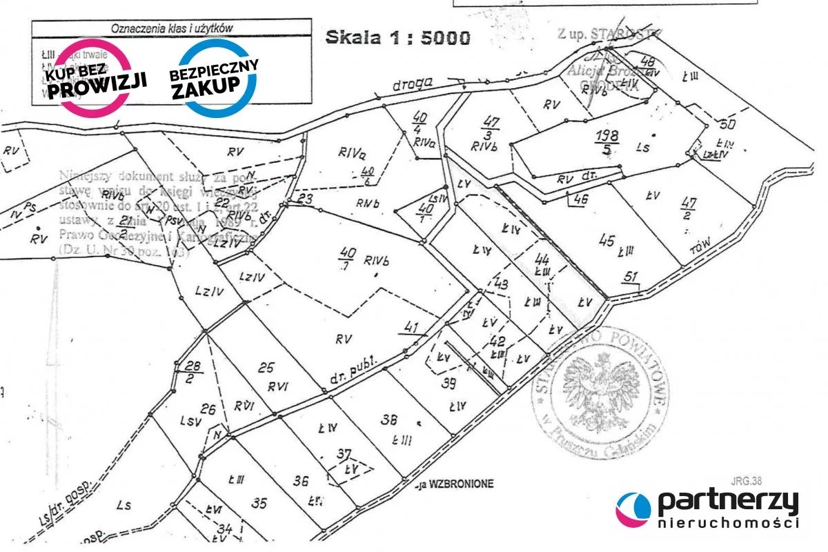 PAN241045 - zdjęcie nr 1