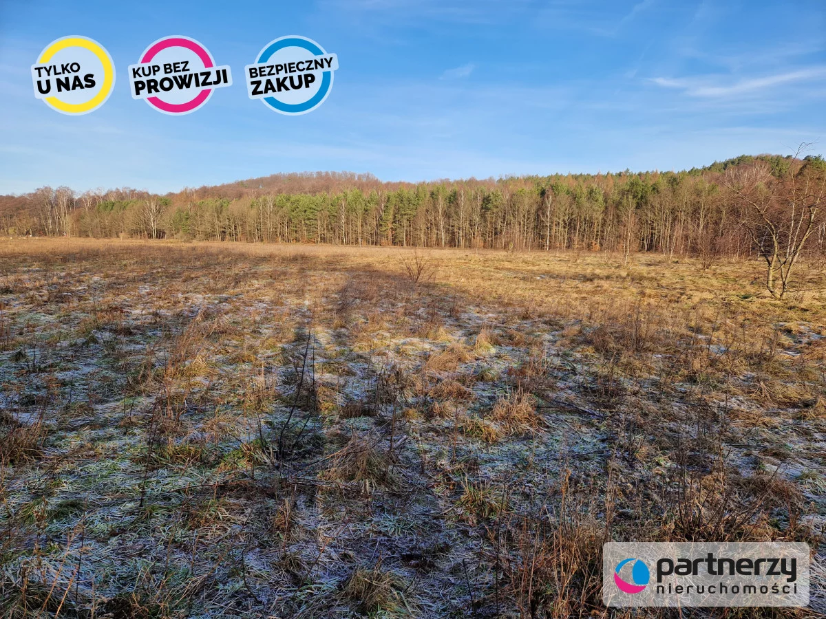 Działka 43 656,00 m², oferta nr , PAN760131, Wejherowo, Franciszka Fenikowskiego