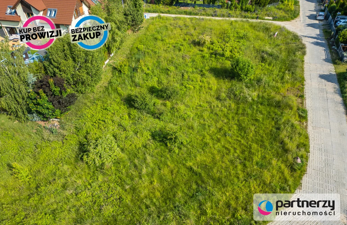 PAN885738 - zdjęcie nr 1