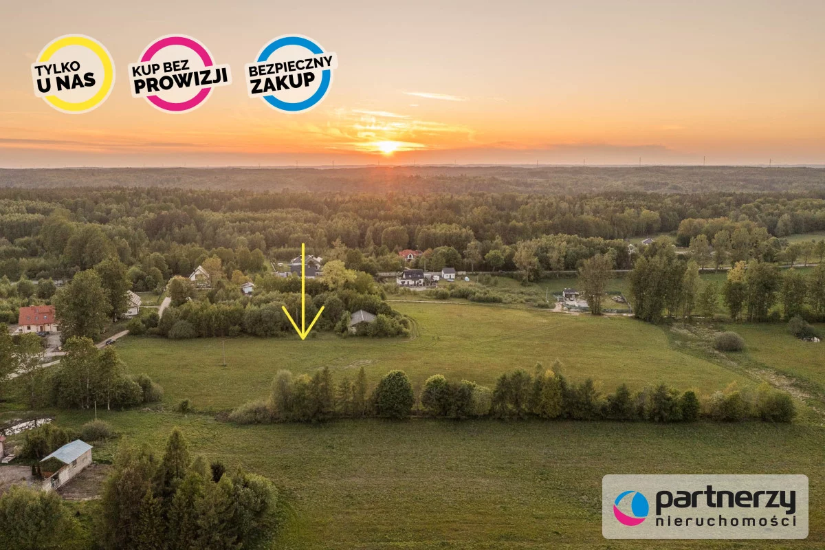 PAN229709 - zdjęcie nr 0