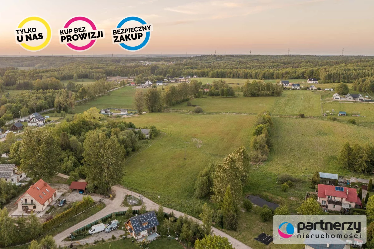 PAN409756 - zdjęcie nr 4