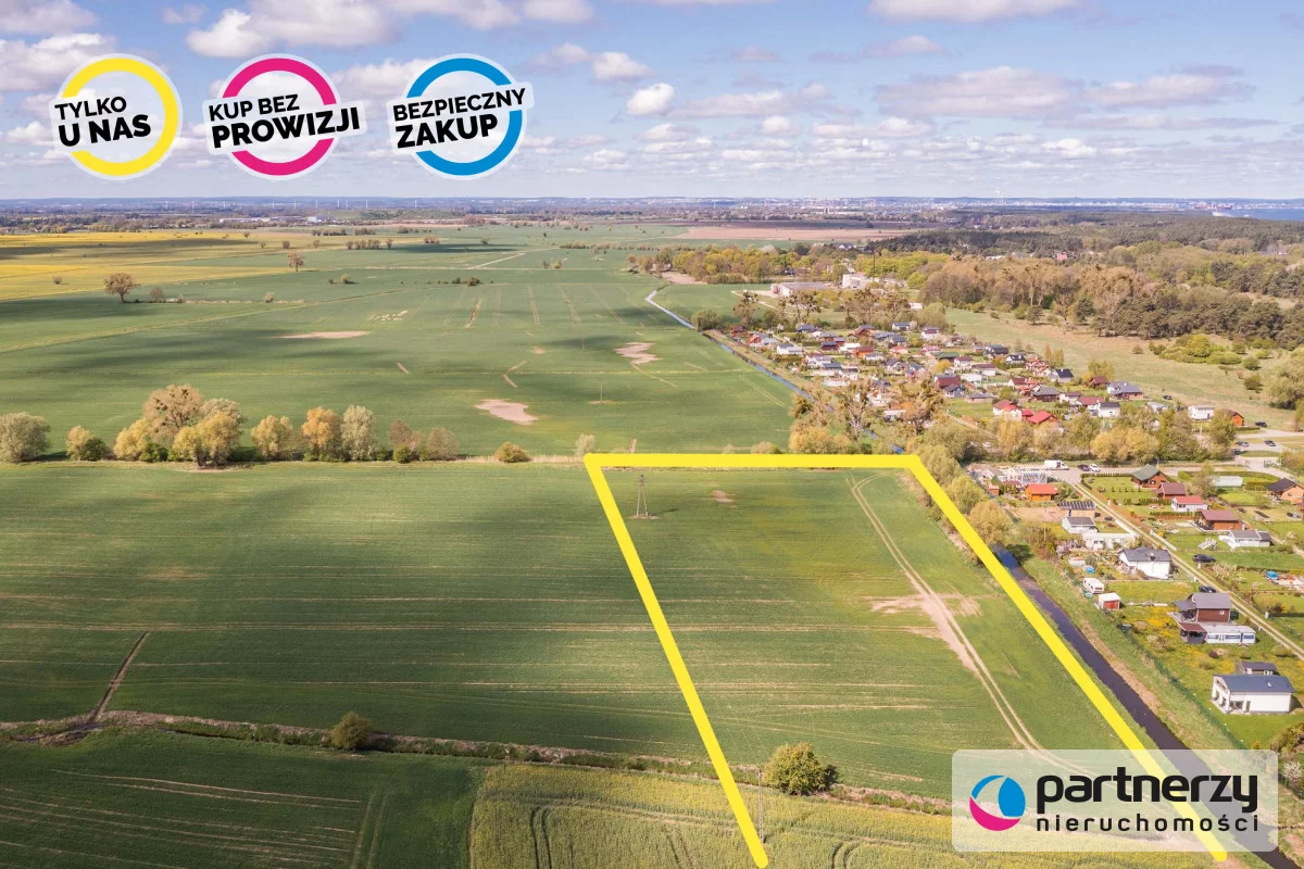 PAN964230 - zdjęcie nr 1