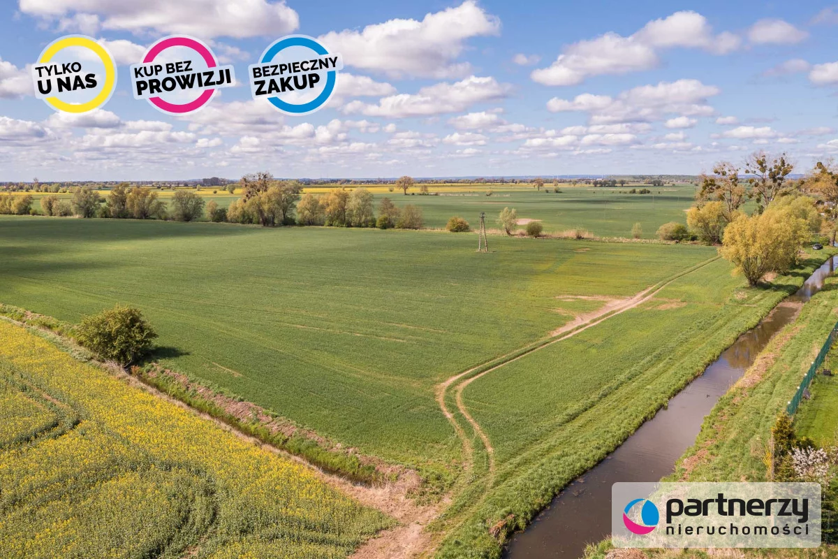 PAN964230 - zdjęcie nr 3