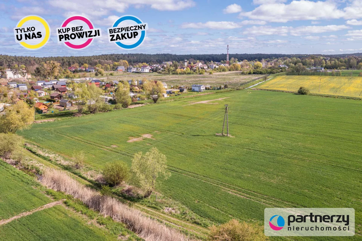 PAN964230 - zdjęcie nr 4