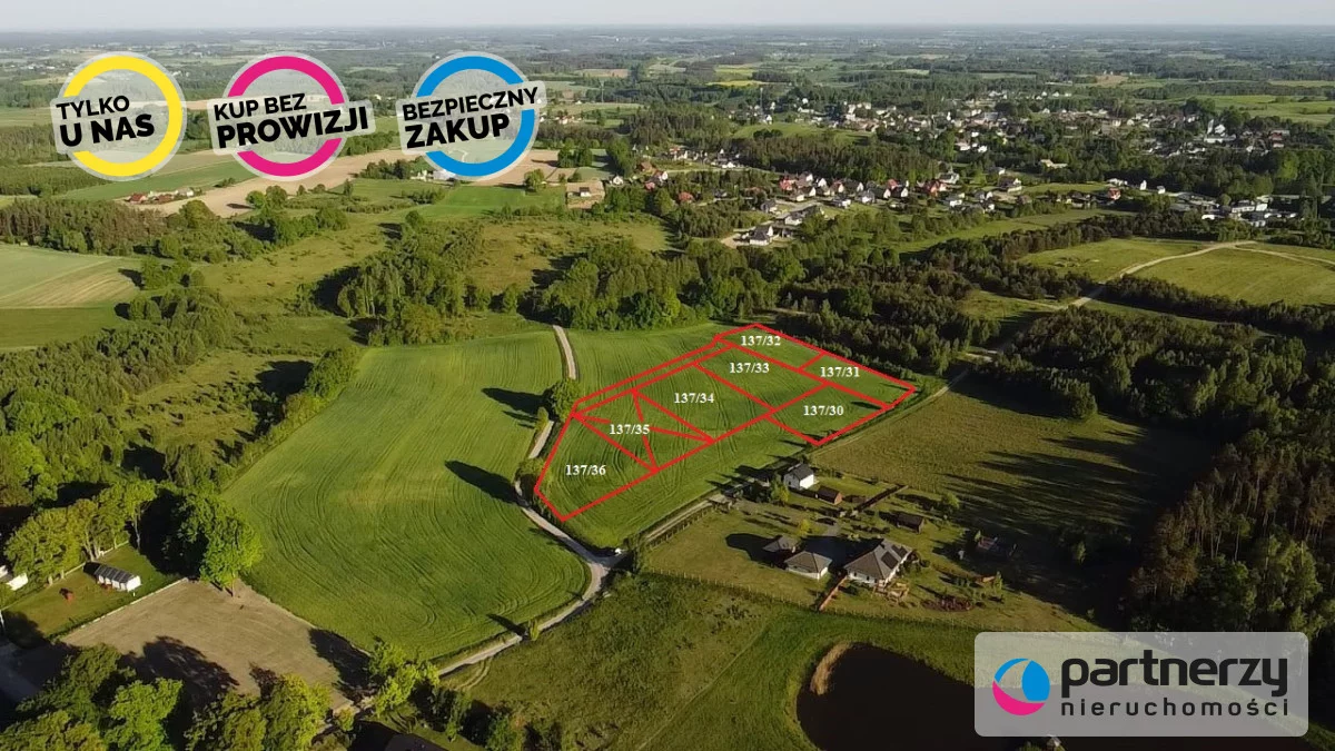 PAN586434 - zdjęcie nr 0