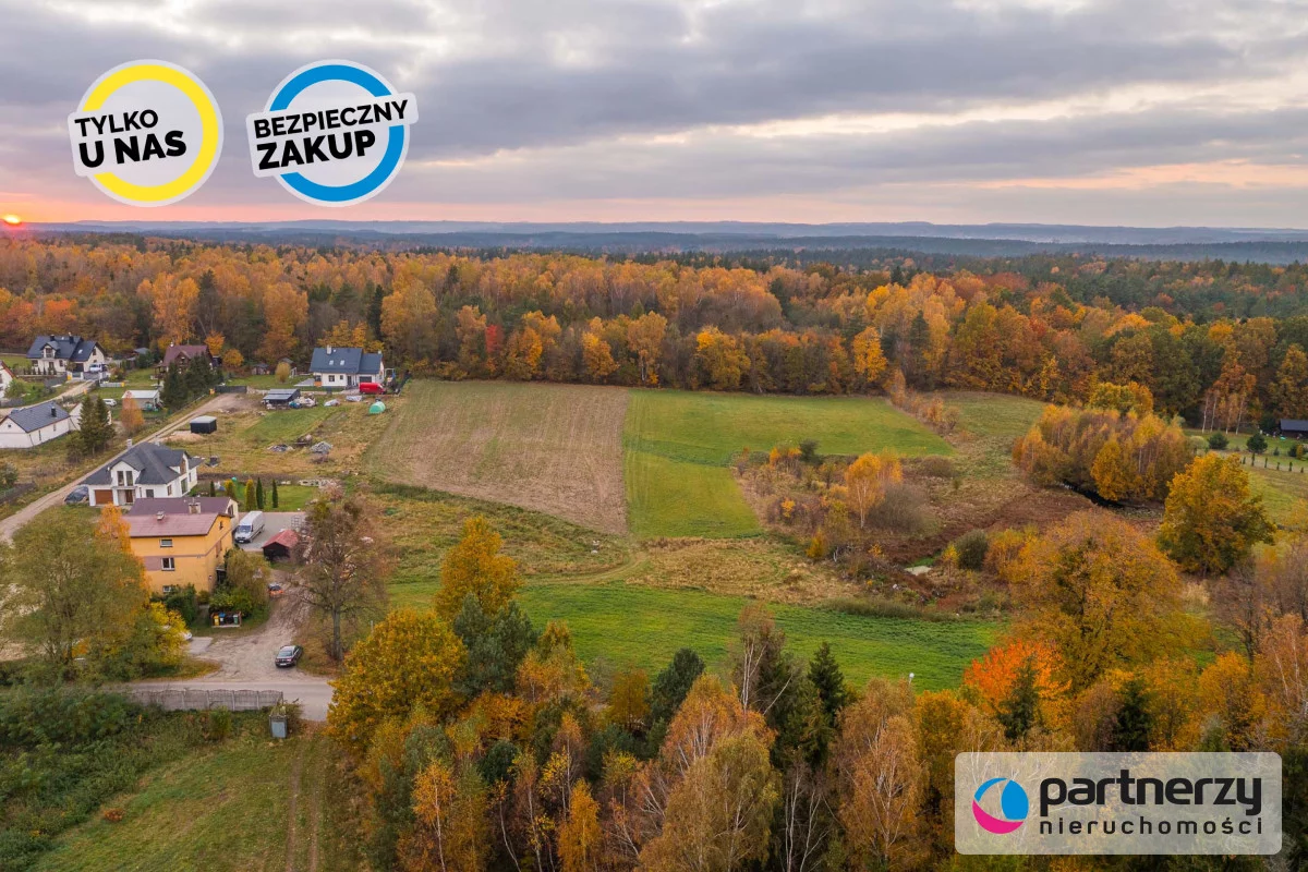 PAN946962 - zdjęcie nr 4