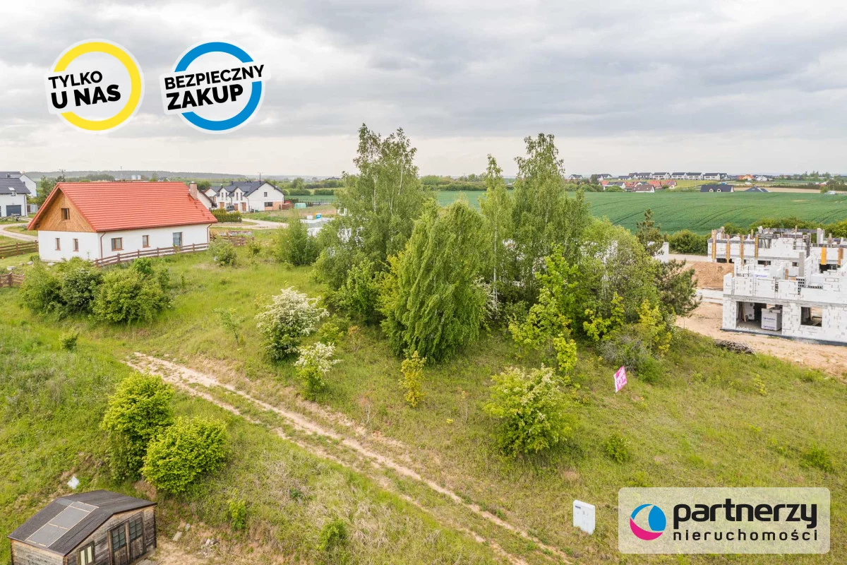 PAN523538 - zdjęcie nr 1