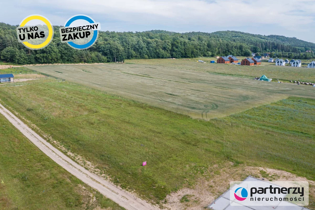 PAN643977 - zdjęcie nr 3