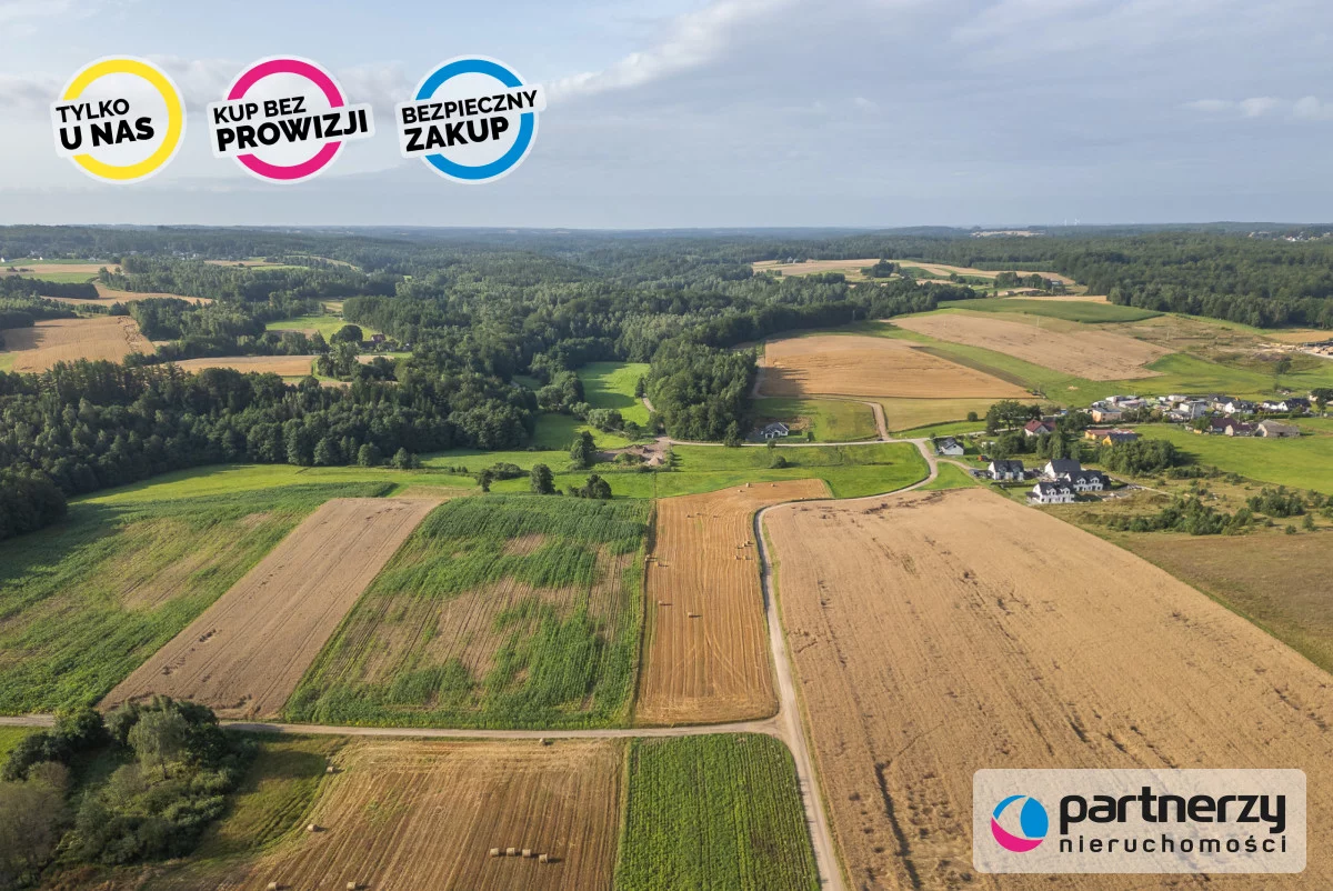 PAN664109 - zdjęcie nr 3