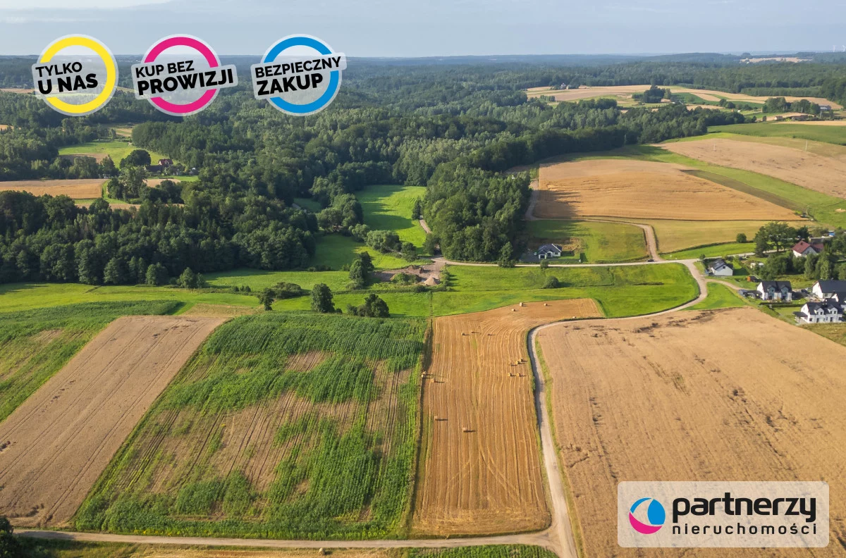 PAN664109 - zdjęcie nr 4