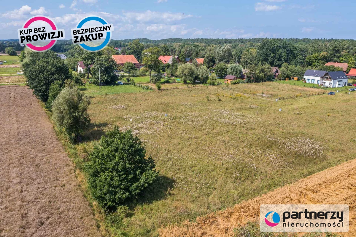 PAN777282 - zdjęcie nr 3