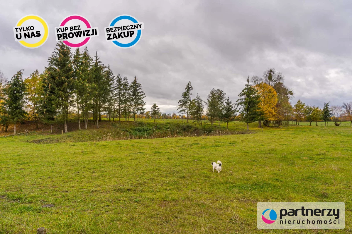 Działka 30 190,00 m², oferta nr , PAN522257, Myślice