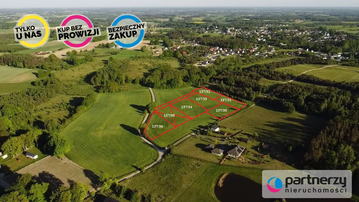 PAN229631 - zdjęcie nr 0