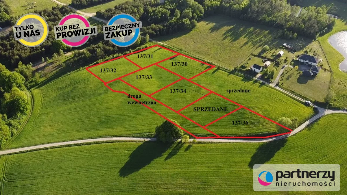 PAN229631 - zdjęcie nr 1