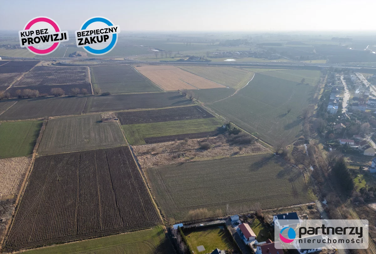 PAN756798 - zdjęcie nr 4