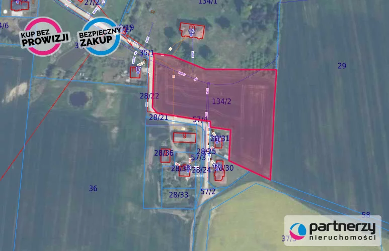 PAN786915 - zdjęcie nr 1