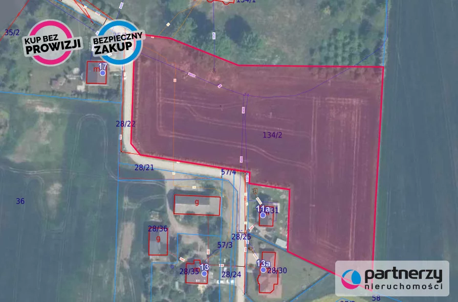 PAN786915 - zdjęcie nr 2