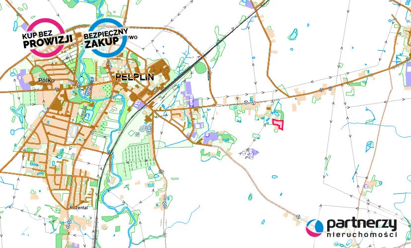 PAN786915 - zdjęcie nr 4