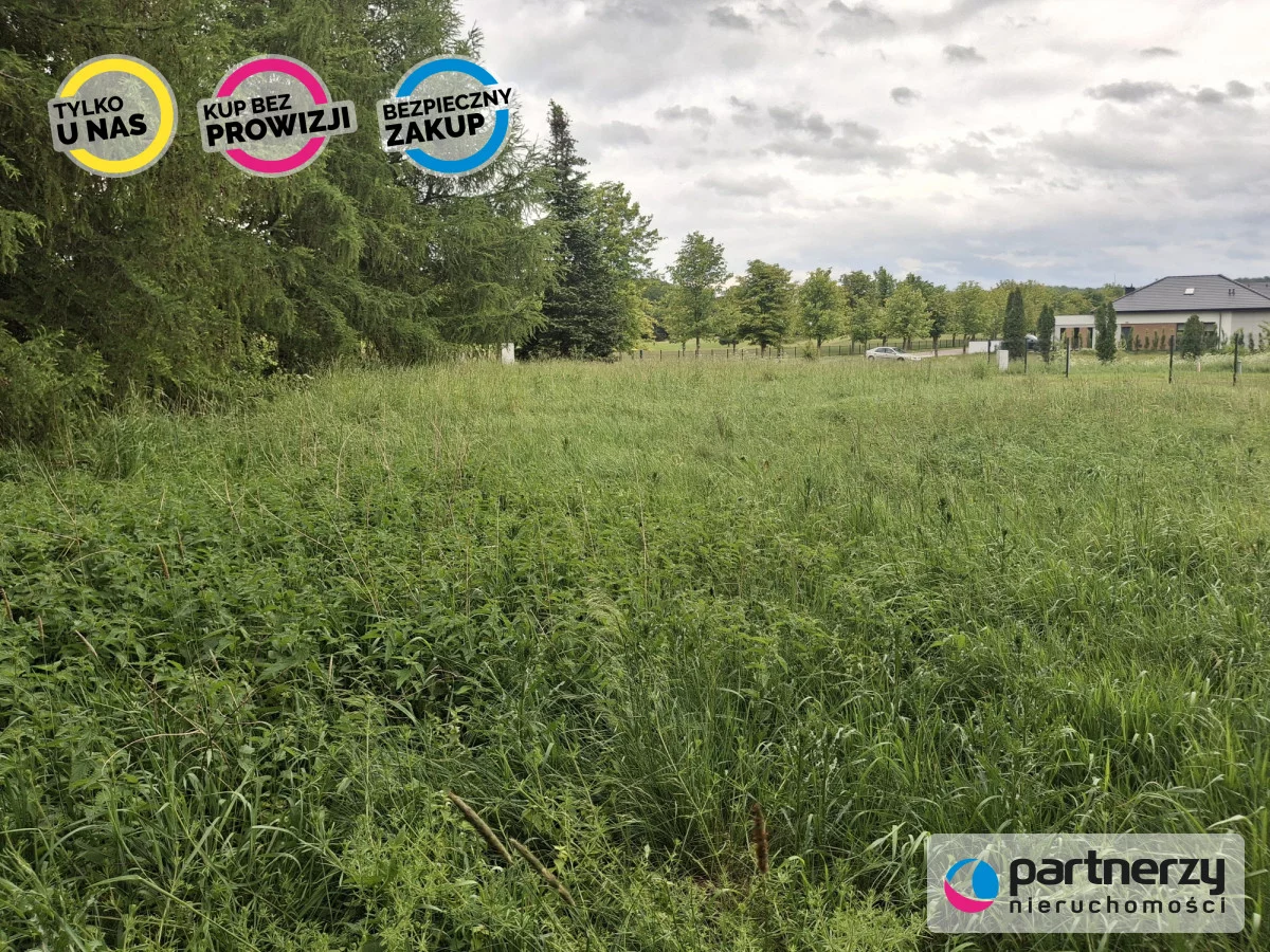 PAN404119 - zdjęcie nr 4