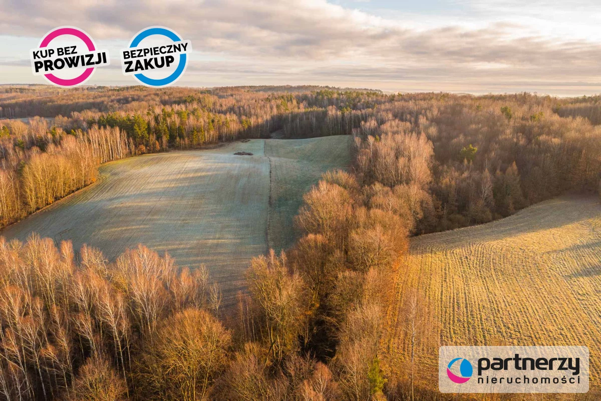 Działka 87 647,00 m², oferta nr , PAN973749, Podjazy