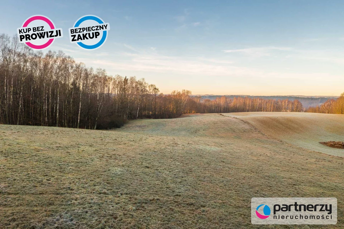 Działka 87 647,00 m², oferta nr , PAN973749, Podjazy