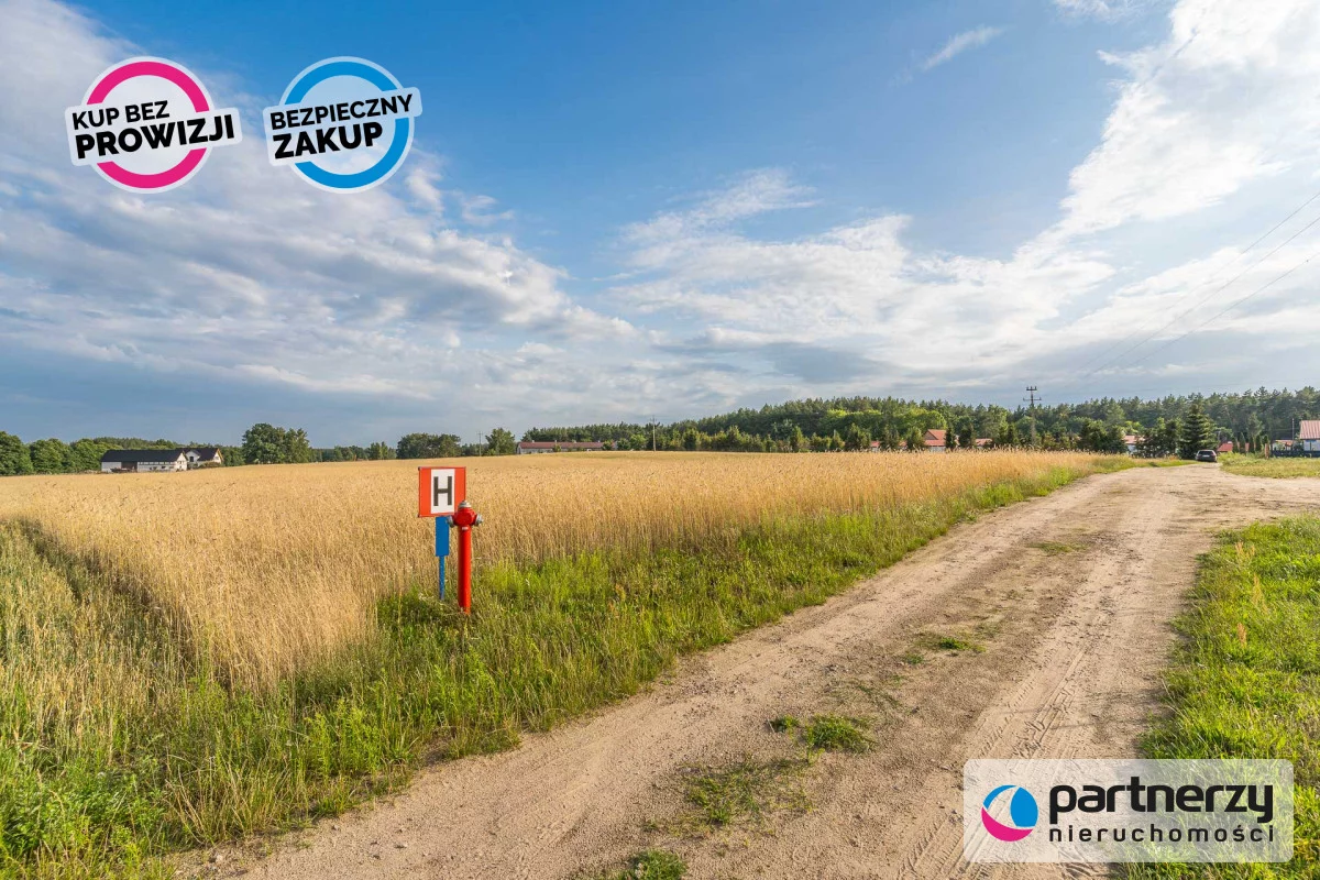 PAN241124 - zdjęcie nr 4