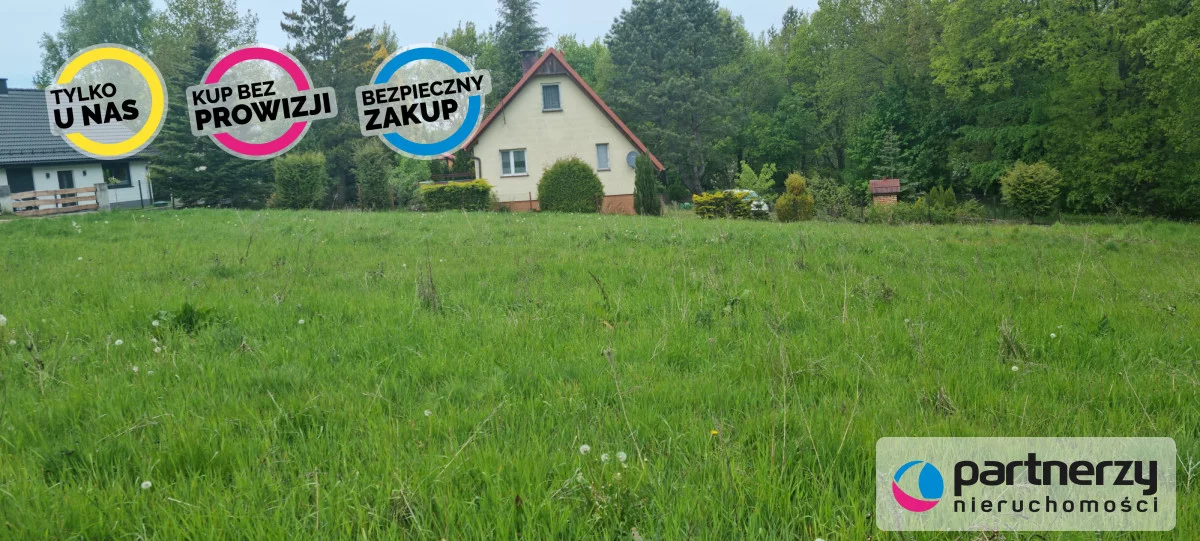 PAN796131 - zdjęcie nr 4