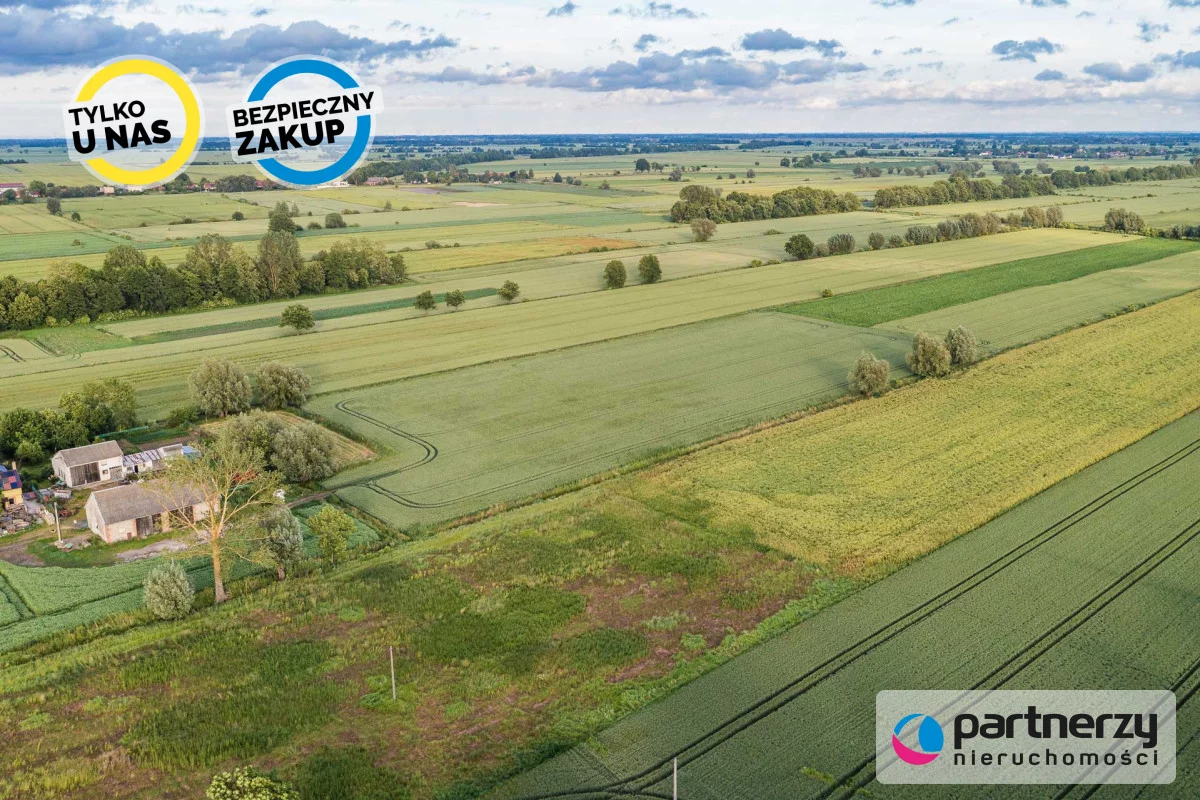 PAN333188 - zdjęcie nr 3