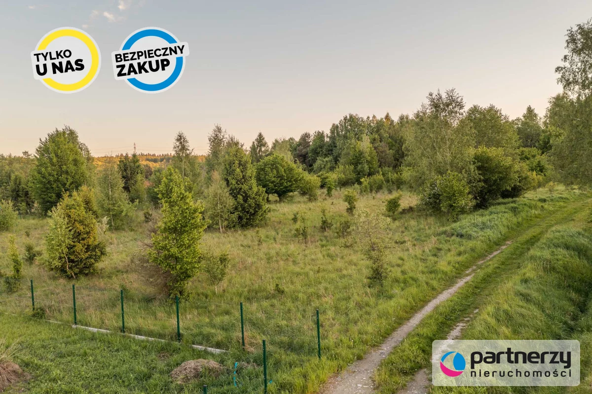 PAN580460 - zdjęcie nr 0