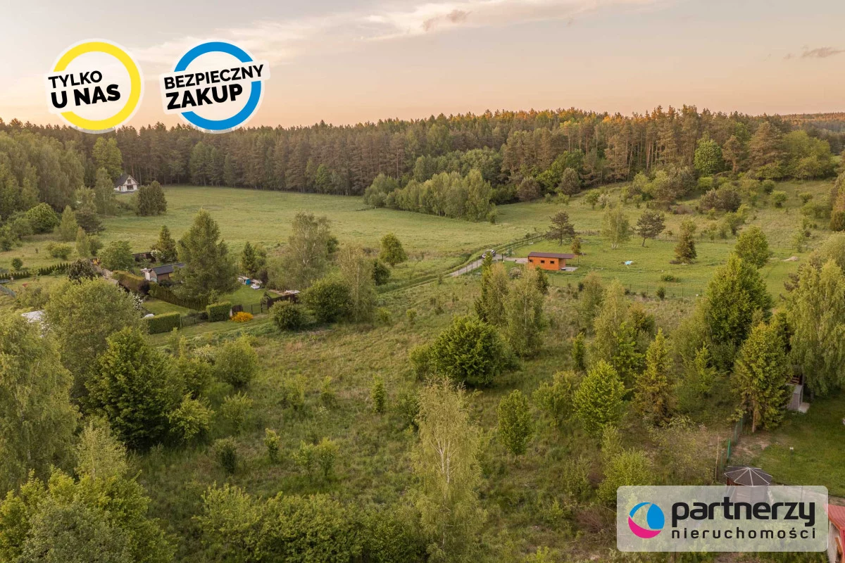 PAN580460 - zdjęcie nr 1