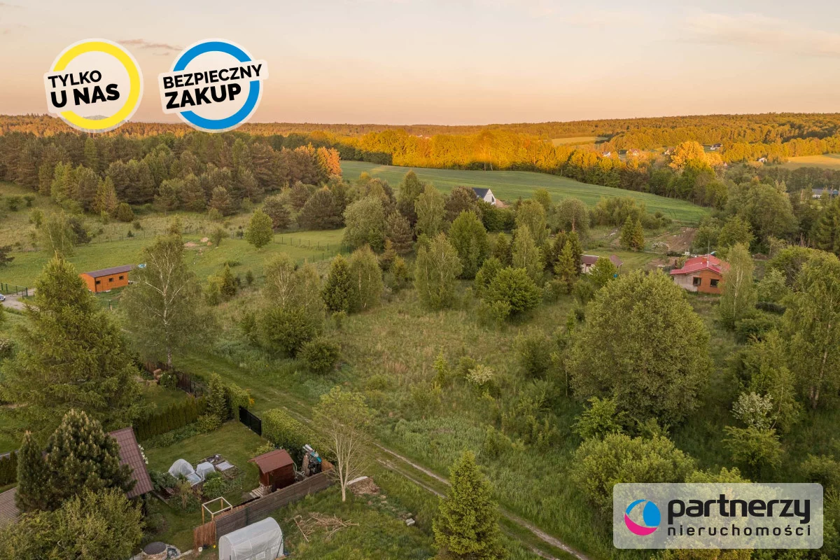 PAN580460 - zdjęcie nr 2