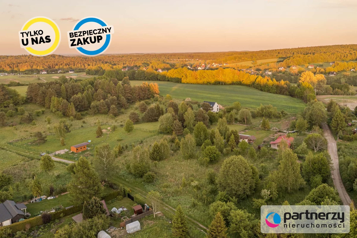 PAN580460 - zdjęcie nr 3
