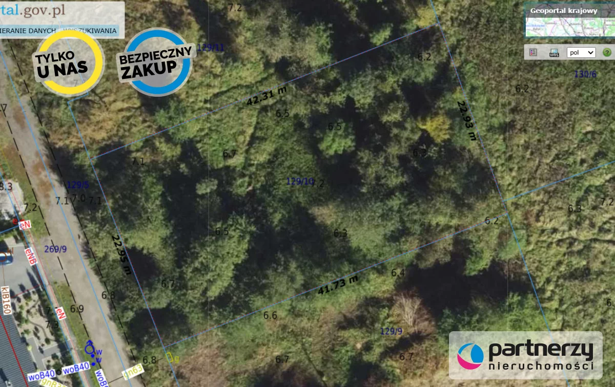 PAN441784 - zdjęcie nr 1