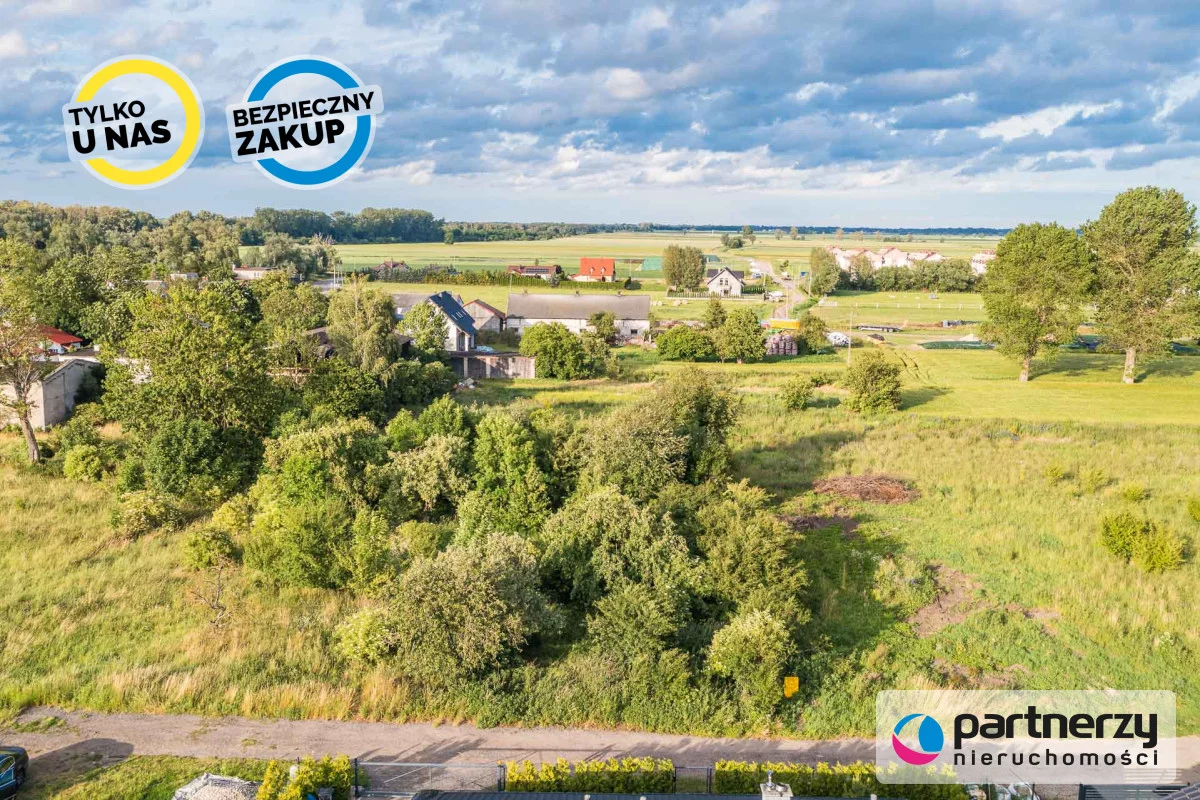 PAN441784 - zdjęcie nr 2