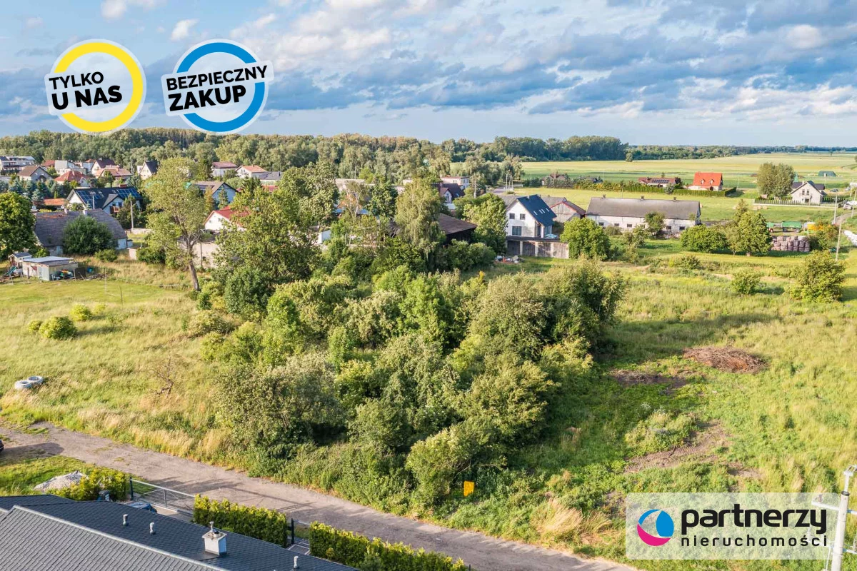 PAN441784 - zdjęcie nr 3