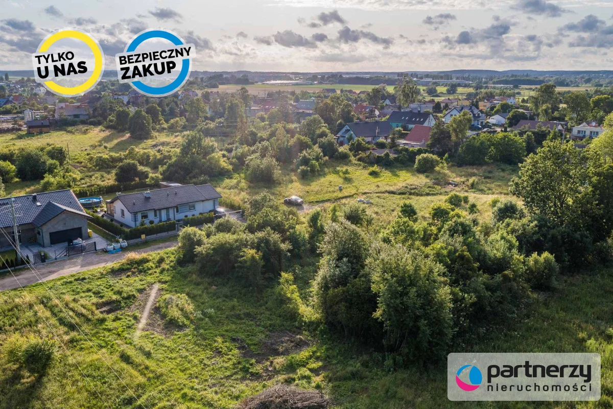PAN441784 - zdjęcie nr 4