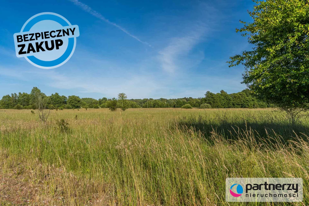 Działka 15 601,00 m², oferta nr , PAN779291, Sarbsk
